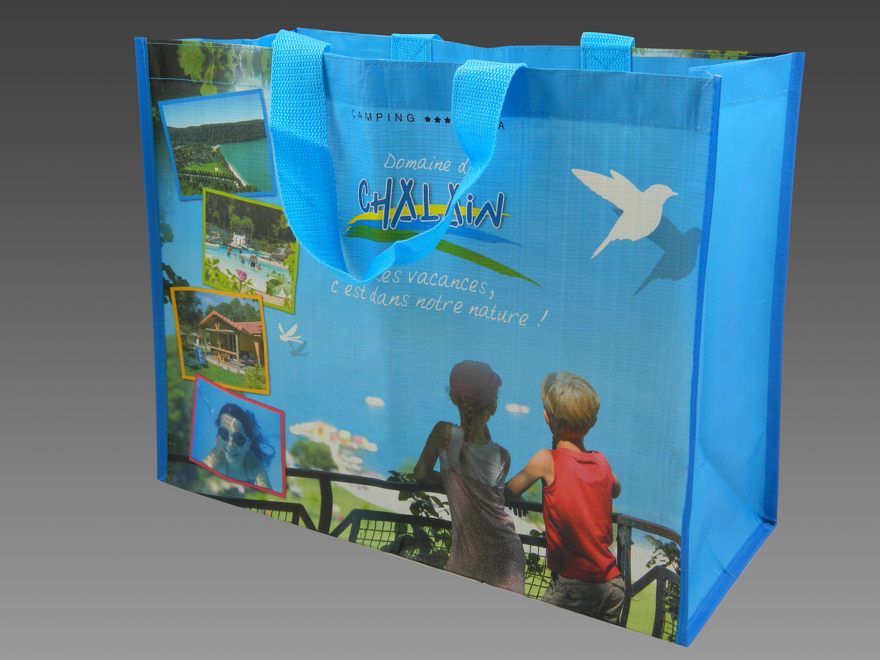 DOMAINE DE CHALAIN copie